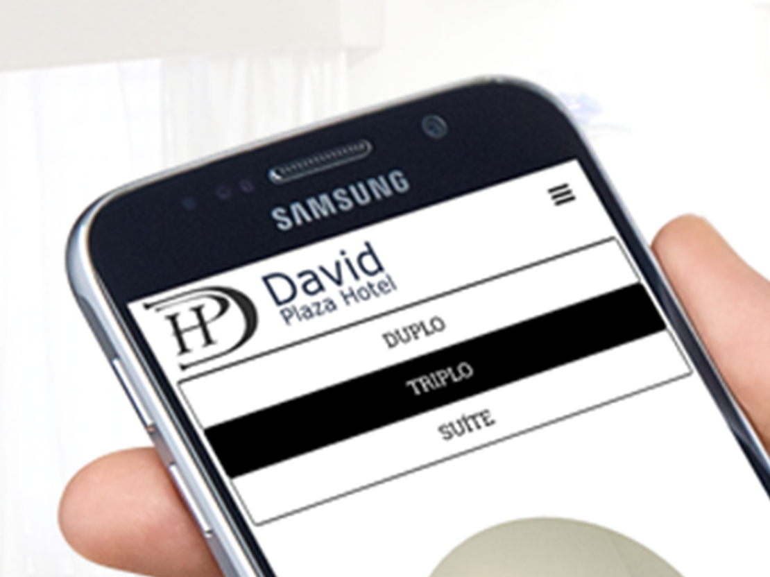 David Plaza Hotel cover